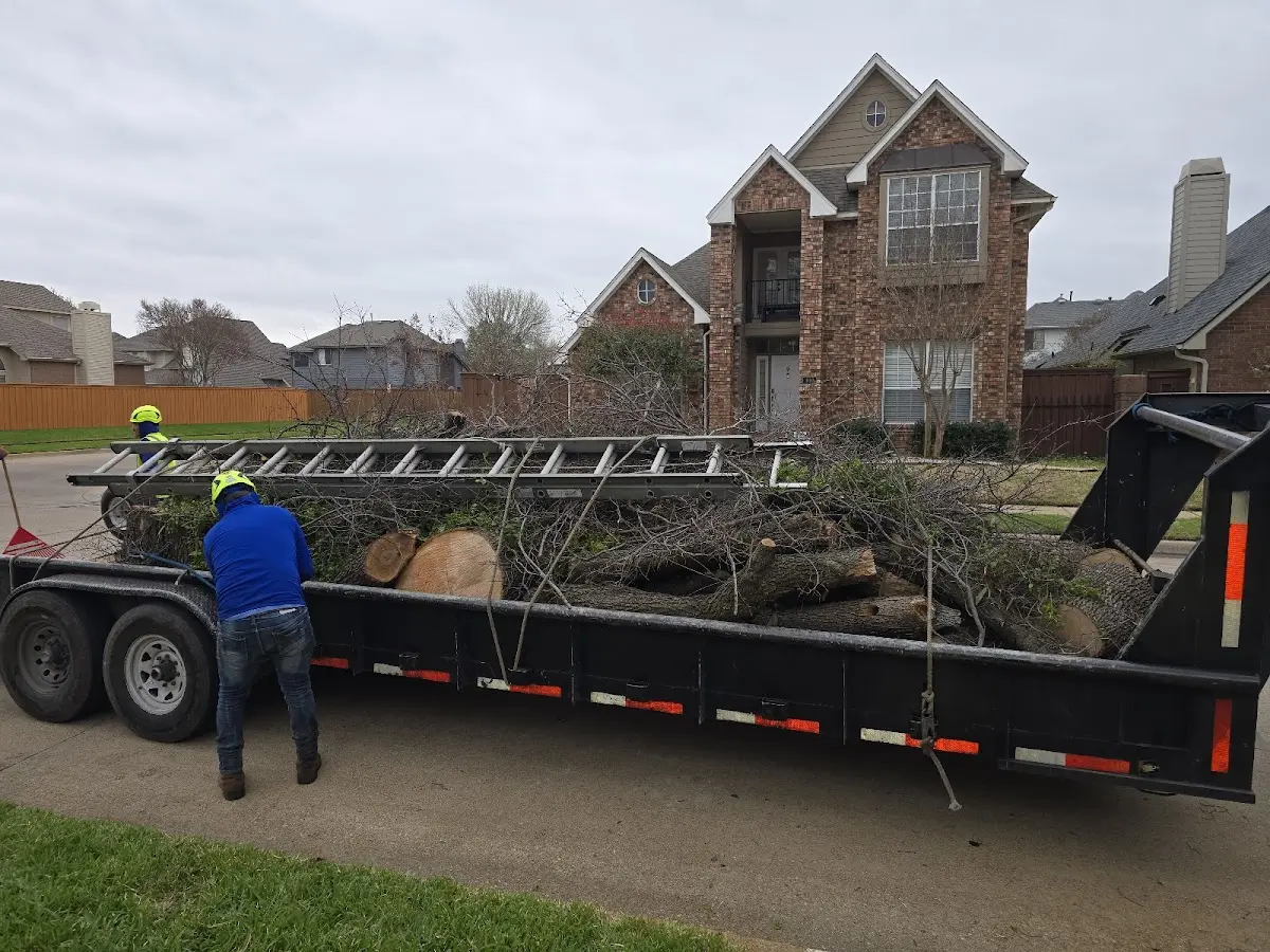 Expert Lot Clearing with proper safety equipment in Templeton